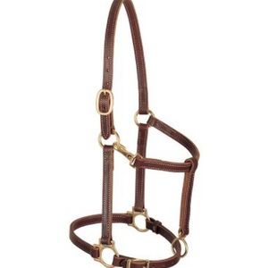 Leather halter, 3 rope halters all new